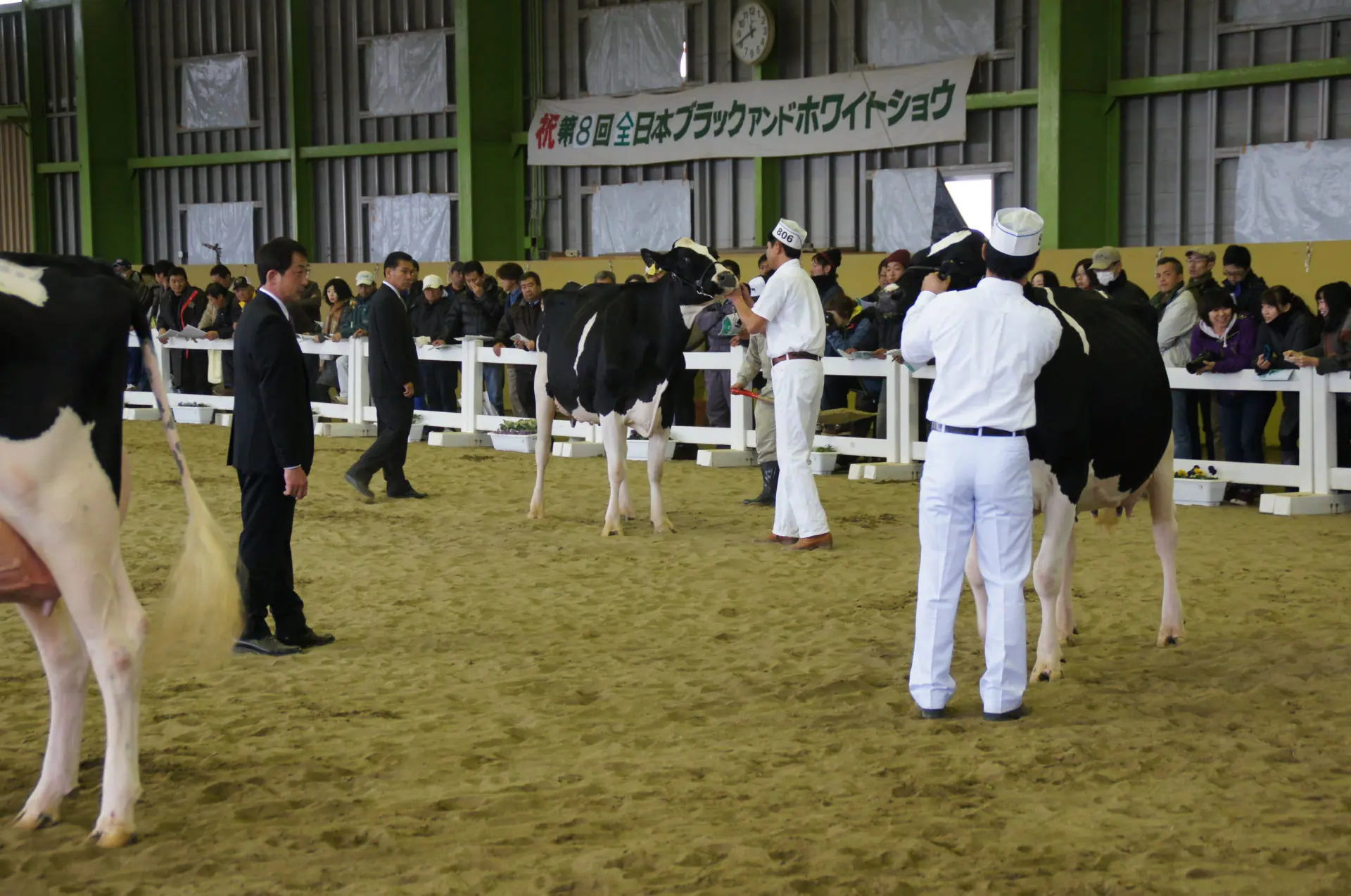 2025 デイリーエキスポ　ソフトシェル　ジャケット　ホルスタイン　共進会 第8回全日本ブラックアンドホワイトショウ